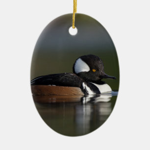 Mit Kapuze Merganser im Abendslicht Keramik Ornament
