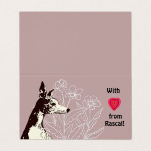 Mit Liebe aus dem Whippet