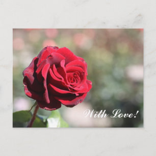 Mit Liebe Postkarte