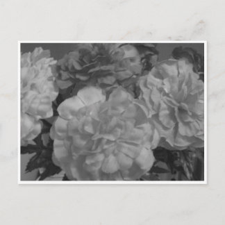 "Mit Liebe von mir, von dir..." Postkarte