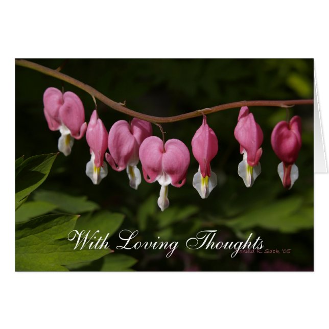 Mit liebevollen Gedanken (Vorderseite (Horizontal))