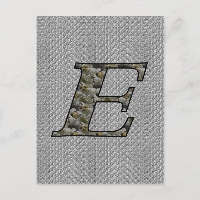 Mit Monogramm erste E Hydrangea florale Postkarte (Vorderseite)