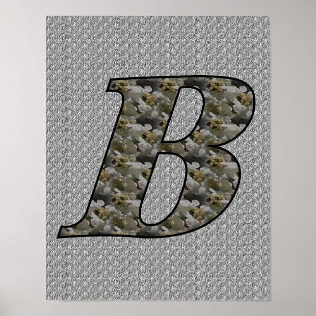 Mit Monogramm Initial-B-Hydrangea-Blumenposter Poster (Vorne)