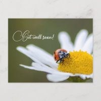 Mit niedlichen kleinen Ladybugs geht es bald gut