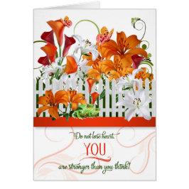 Mit Schmetterlingen den Garten von Lilies fördern