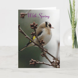 Mit Spring Grußkarte Karte