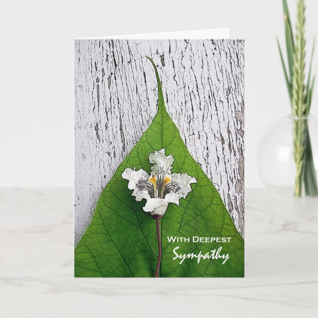 Mit tiefstem Beileid Catalpa Blossom und Leaf Karte (Vorderseite)