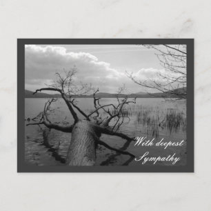 Mit tiefstem Beileid Postkarte
