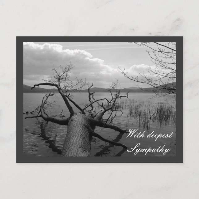 Mit tiefstem Beileid Postkarte (Vorderseite)