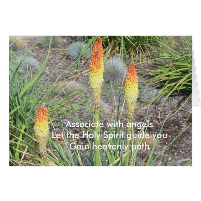 Mitarbeiter mit Engeln (Vorderseite (Horizontal))