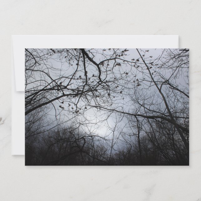 miteinander verbunden (Vorderseite)