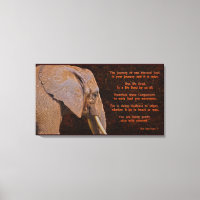 Mitgefühl - Elefant & Literaturzeitschrift - Rusti