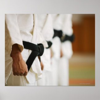 Mitglieder eines Judo Dojo Poster