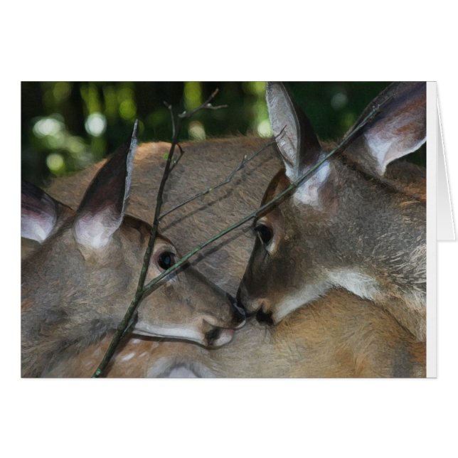 Mitleid u. Respekt der Natur (Vorderseite (Horizontal))