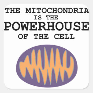 Mitochondria ist das Powerhouse - Aufkleber