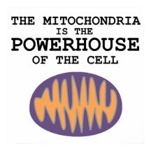 Mitochondria ist das Powerhouse - Poster