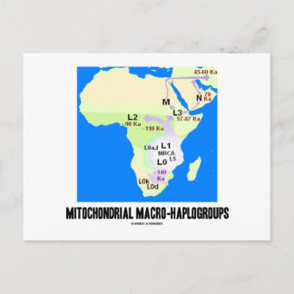 Mitochondriale Makrogruppen (MRCA-Genealogie) Postkarte