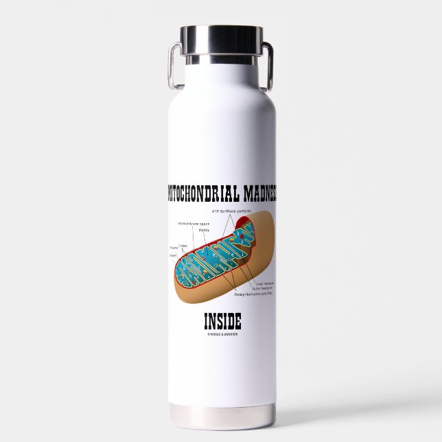 Mitochondrialer Wahnsinn innerhalb der Mitochondri Trinkflasche (Vorne)