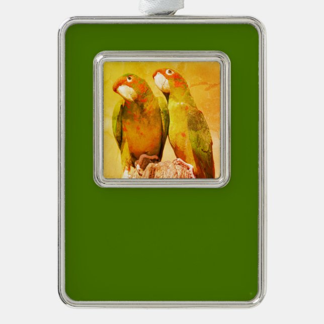 Mitred Parakeet auf der Holzpfeife Postkarte Rahmen-Ornament Silber (Vorderseite)