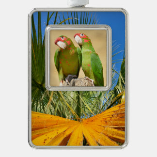 Mitred Parakeet auf der Holzpfeife Postkarte Rahmen-Ornament Silber