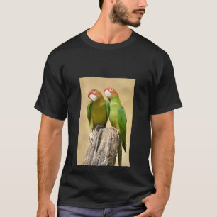 Mitred Parakeet auf der Holzpfeife Postkarte T-Shirt