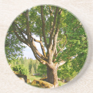 Mitsommernes Licht Småland Getränkeuntersetzer