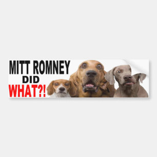 MITT ROMNEY TAT, WAS?! Hund auf Dach AUTOAUFKLEBER