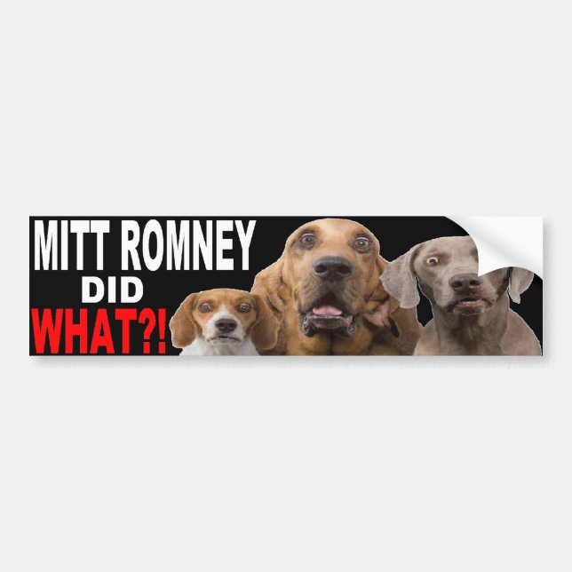 MITT ROMNEY TAT, WAS?! Hund auf Dach AUTOAUFKLEBER (Vorne)