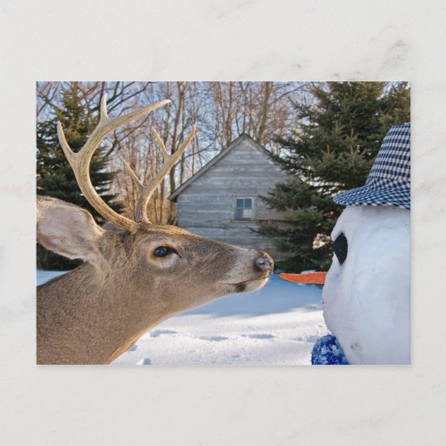 Mittag Einladung (Vorderseite)