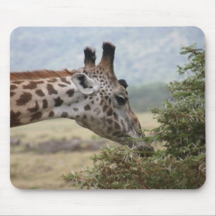 Mittag im Acacia Tree - Mousepad