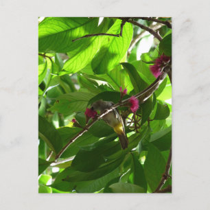 Mittagessen am Baum Postkarte