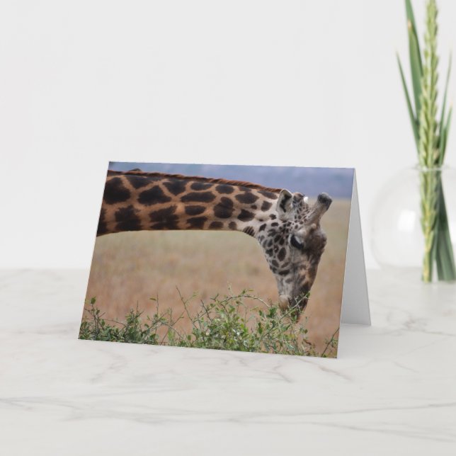 Mittagessen für eine karte (Vorderseite)