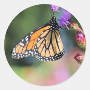 Mittagessen Runder Aufkleber