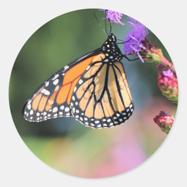 Mittagessen Runder Aufkleber (Vorderseite)