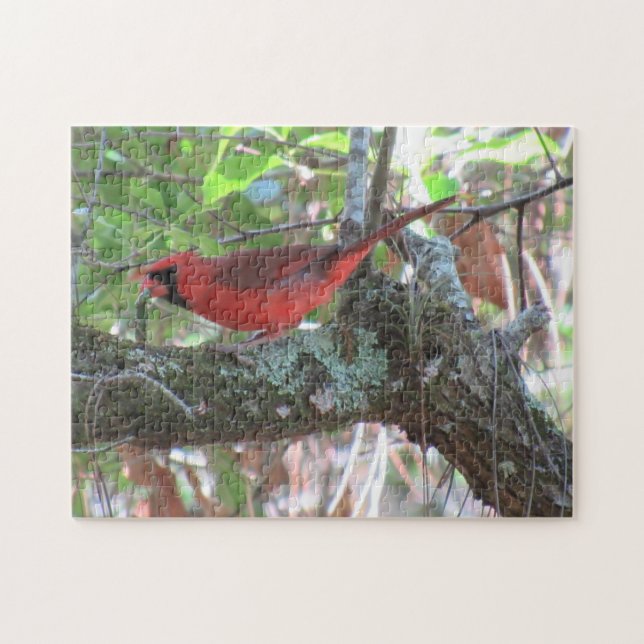 Mittags des Kardinals - Der Hinterhofbird Puzzle (Horizontal)