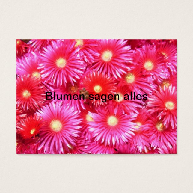 Mittagsblumen (Vorderseite)