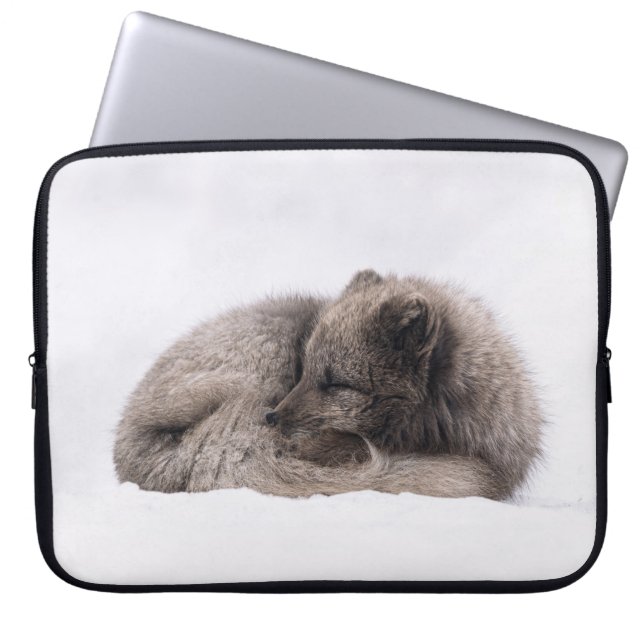 Mittagsruhe Laptopschutzhülle (Vorderseite)