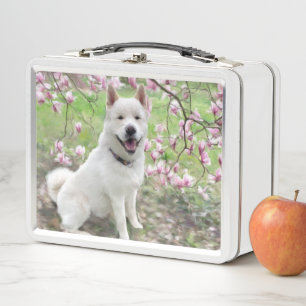 Mittagsschachtel - White Akita Metall Brotdose