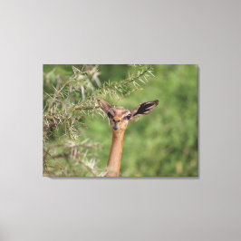 Mittagszeit Leinwanddruck