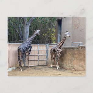 Mittagszeit Postkarte