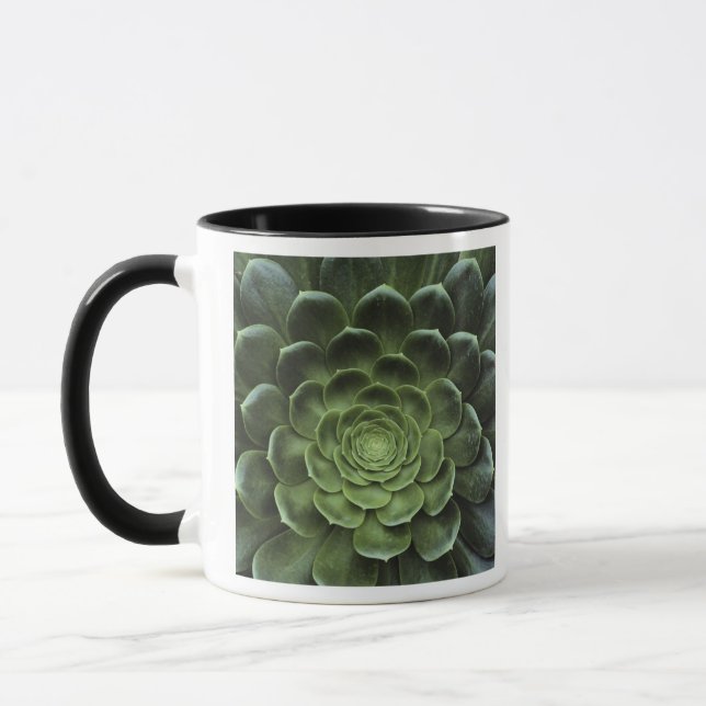 Mitte des Kaktus Tasse (Links)
