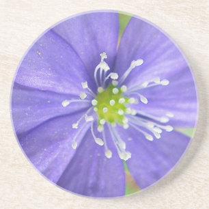 Mitte einer blauen Blume mit weißen Briefmarke Untersetzer