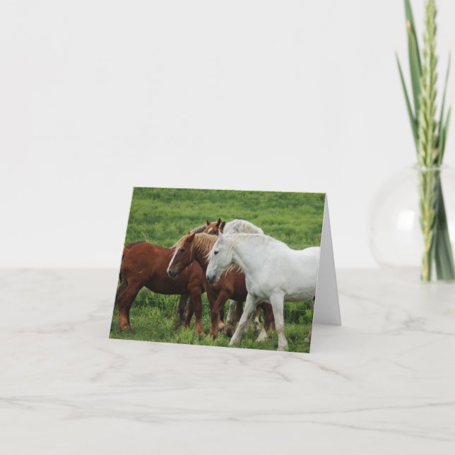 Mitteilungskarte (Vorderseite)