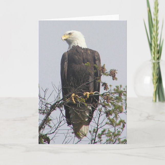 Mitteilungskarte (Vorderseite)