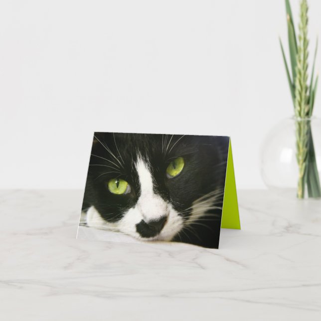 Mitteilungskarte (Vorderseite)