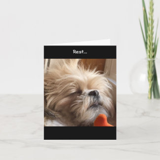 Mitteilungskarten/fantastische Anmut u. Ruhm Bea Karte