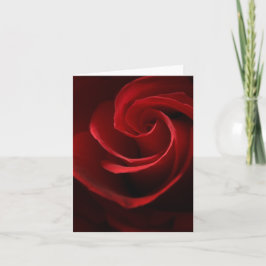 Mitteilungskarten für abstrakte Rote Rose