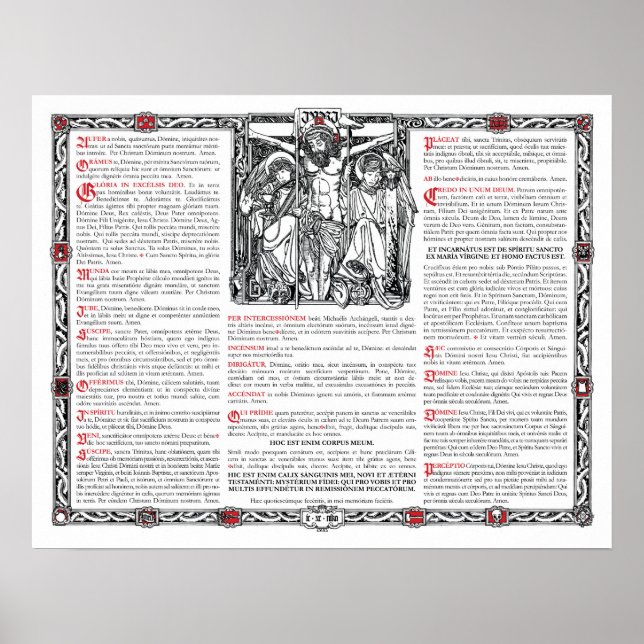 Mittelalterkarte Poster (Vorne)