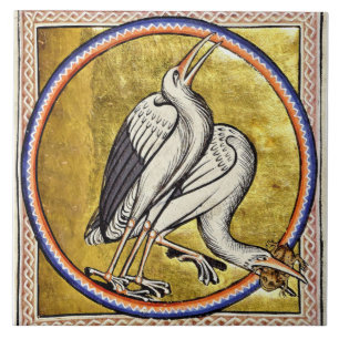 Mittelalterliche Aberdeen Bestiary Storys Keramik  Fliese