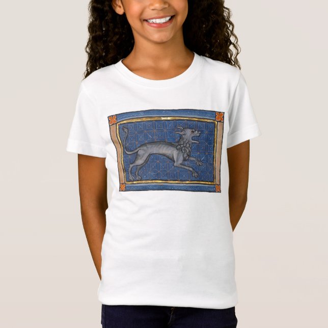 Mittelalterliche Bestiary Hyena c. 1270 T-Shirt (Vorderseite)